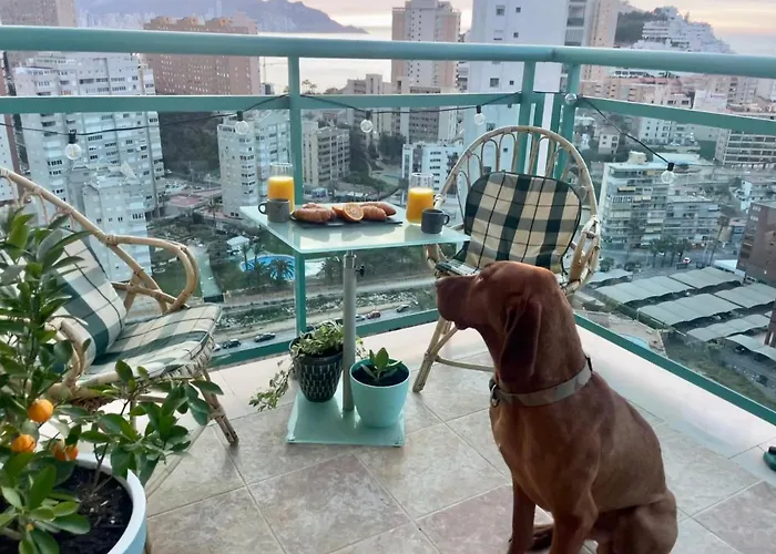 Traveler\'S Beach Apartment With Sea View, Free Coffee & Parking